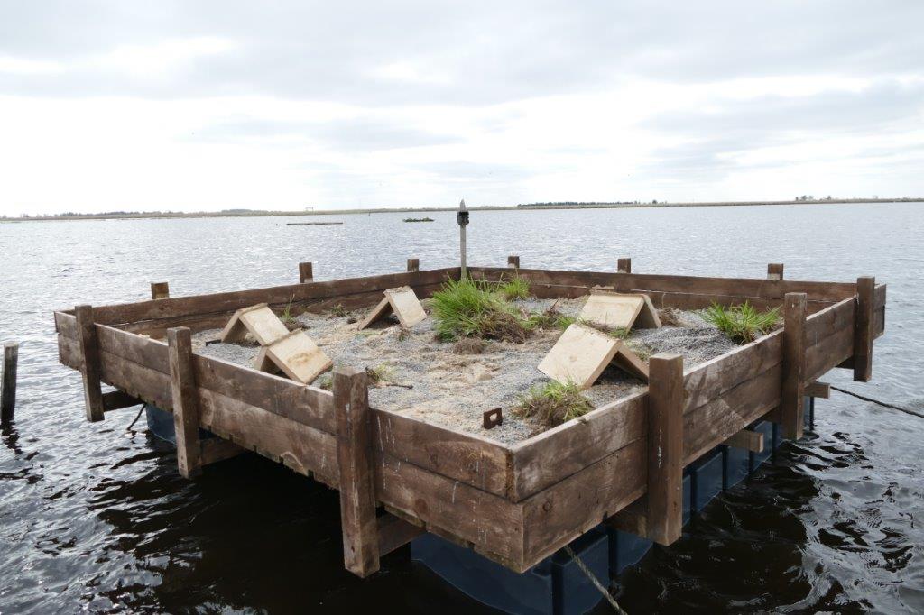 Brutfloß, eine schwimmende Vogelzuchtstation auf Pontons